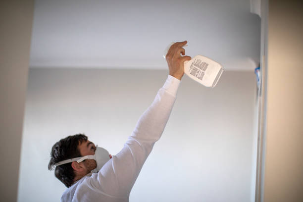 Best Emergency Mold Removal  in Santa Barbara, CA