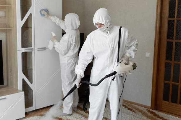 Trusted Santa Barbara, CA Mold Removal Experts