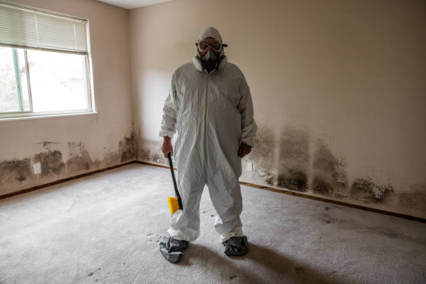 Mold Testing and Removal in Santa Barbara, CA